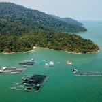 Penang’s Aquaculture Industry Holds Great Economic Potential