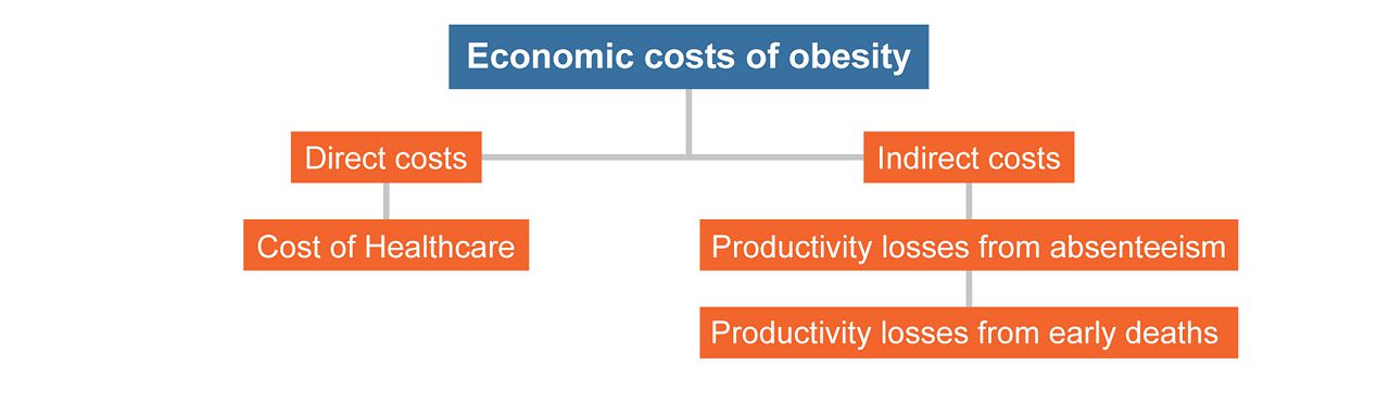 Obesity In Malaysia Unhealthy Eating Is As Harmful As Smoking Penang Institute