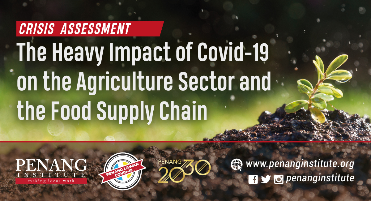 The Heavy Impact of Covid-19 on the Agriculture Sector and the 