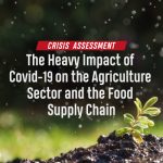 The Heavy Impact of Covid-19 on the Agriculture Sector and the Food Supply Chain