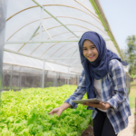 Mempertingkatkan Sektor Pertanian Pulau Pinang