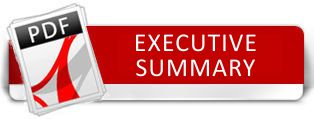 download executive summary